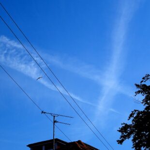 Chemtrails en el cielo. Alex Borland (PublicDomainPictures.net) Preguntant a la IA sobre la geoenginyeria